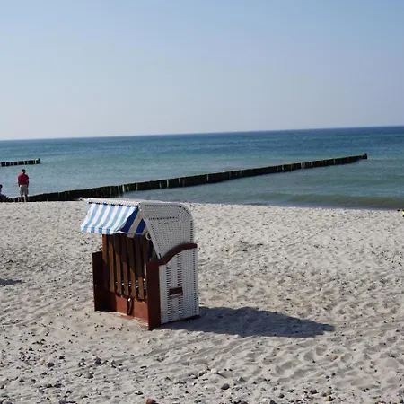 Bonita 1 * Börgerende-Rethwisch